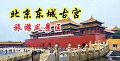 女性私密保健男技师逼中国北京-东城古宫旅游风景区